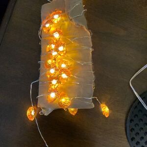 LED lights for decorating. Approximately 9+foot. USB or battery operated